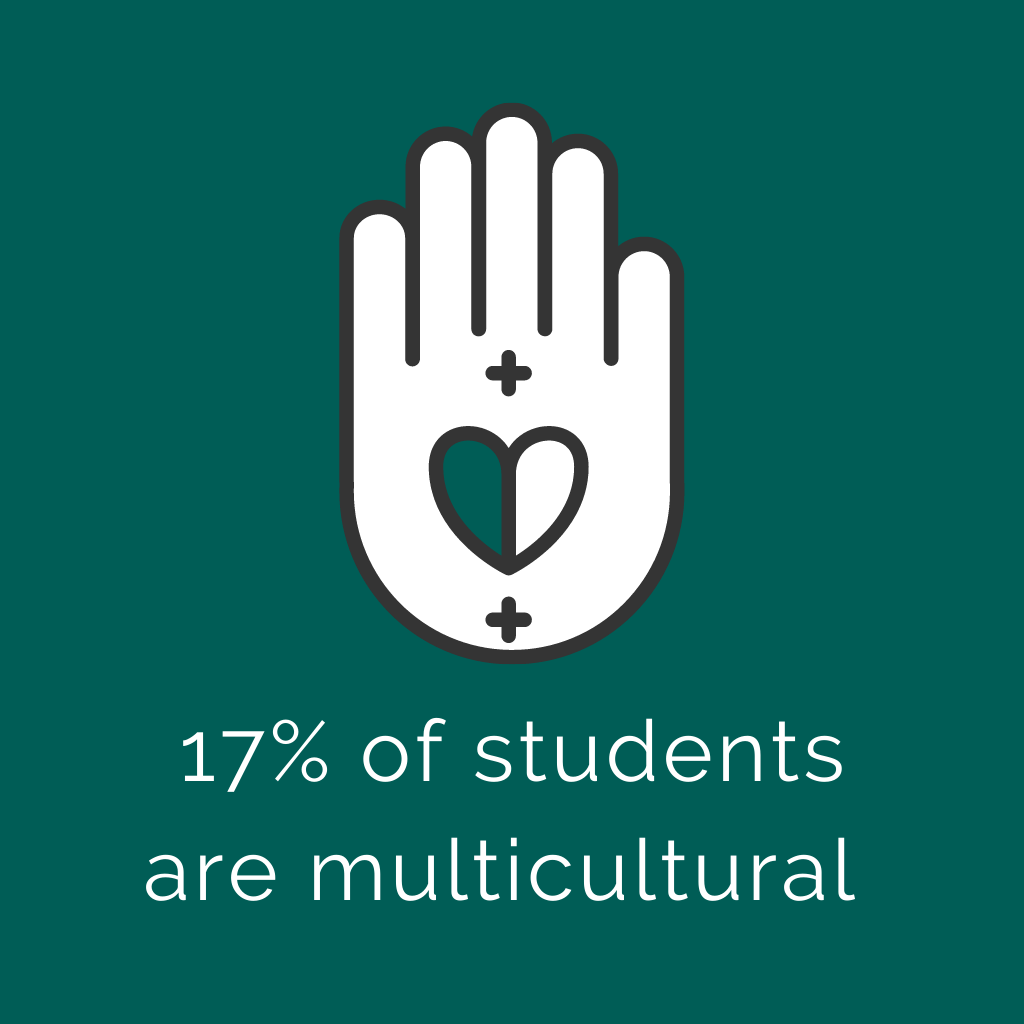17-percent-students-multicultural